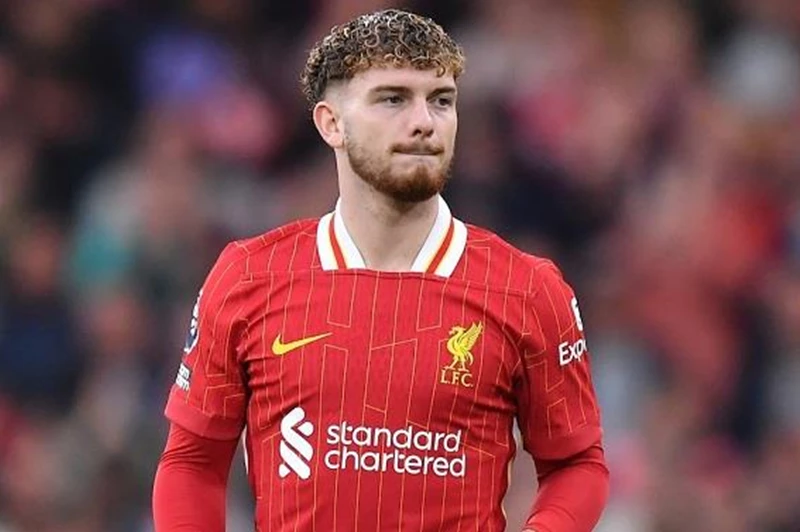 تحليل إليوت: ضرورة عدم الانجراف وراء الاحتفالات بعد هزيمة ليفربول أمام برايتون